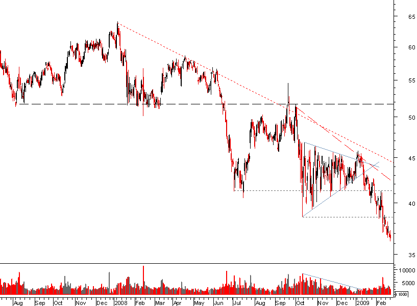 danone bear 230209.png