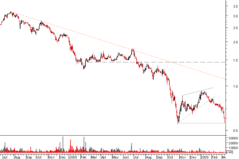 impresa bear 090309.png
