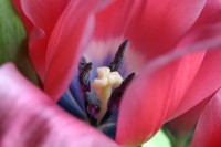 IMG_2745.jpg