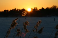 IMG_2453.jpg