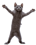 th_evj4ayFaZgPx.gif