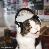 th_wjJ9AzCdi3n9.gif
