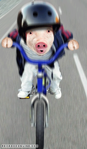 humor067.gif