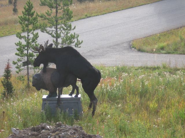 statue.jpg
