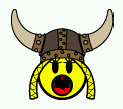 viking.png