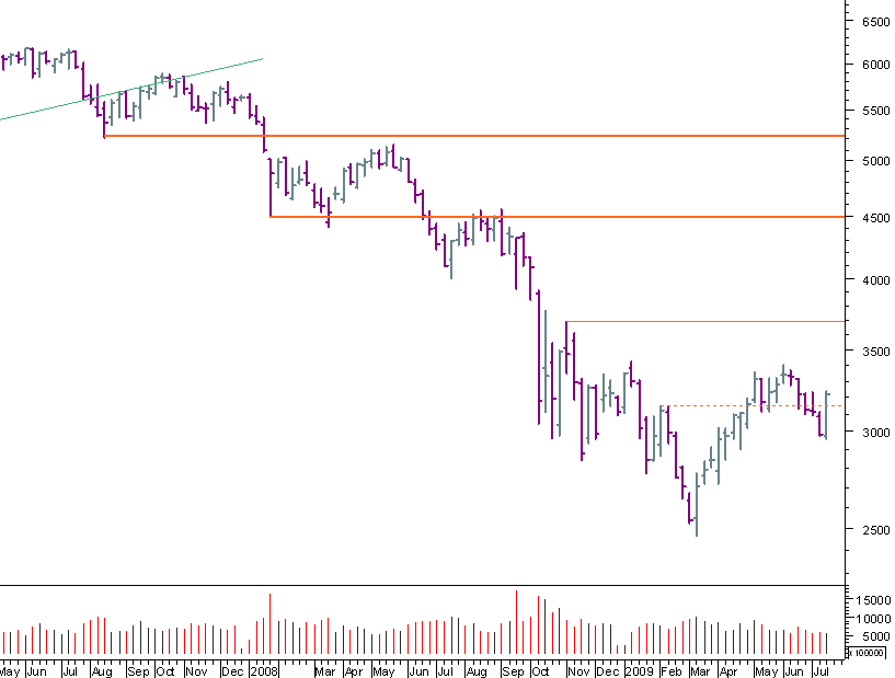 cac bear 170709.png