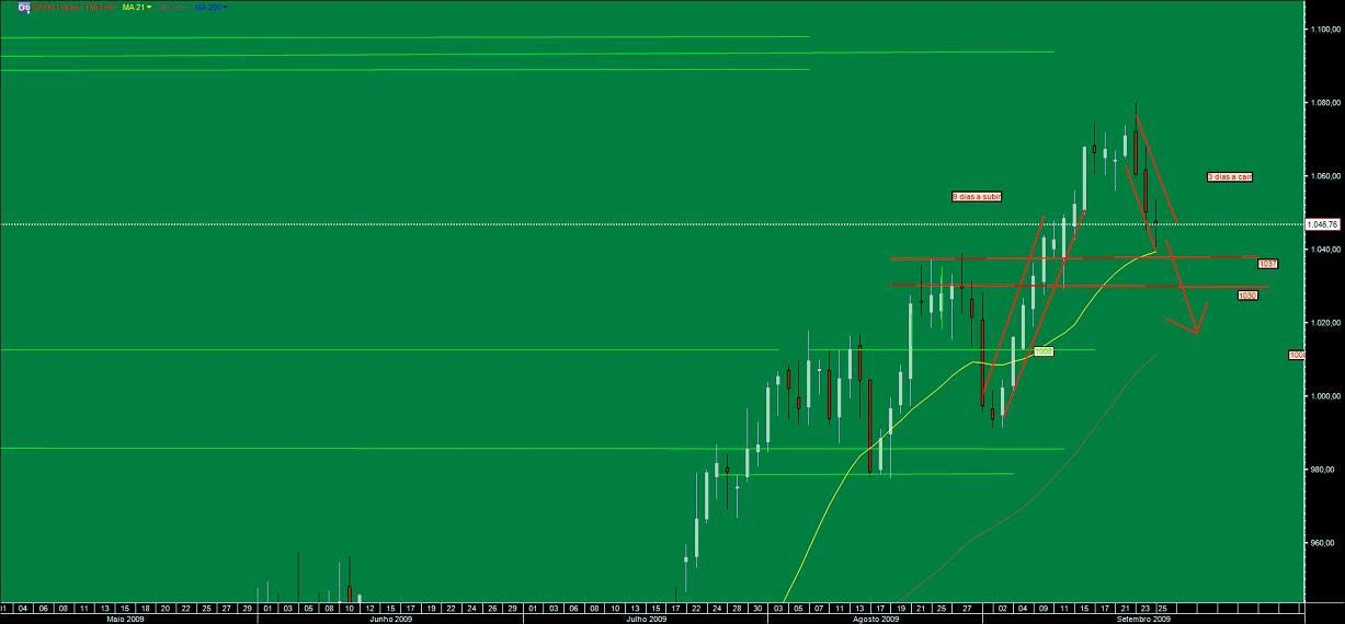 sp5.jpg