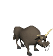 touro07.gif