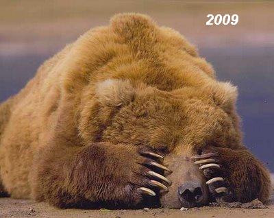 cova_do_urso.jpg