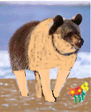 urso2.jpg