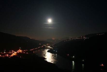Douro - Noturno paint.jpg