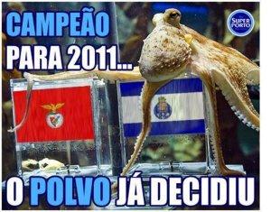 polvo.jpg