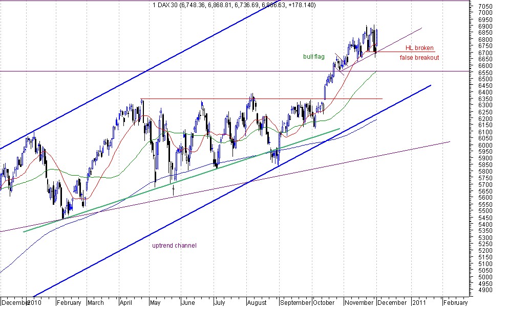 dax 1-12-10 close up.jpg