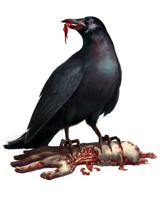corvo.jpg