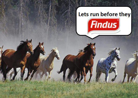 findus.jpg