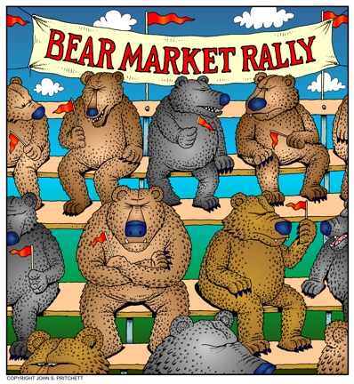 bear-rally.jpg