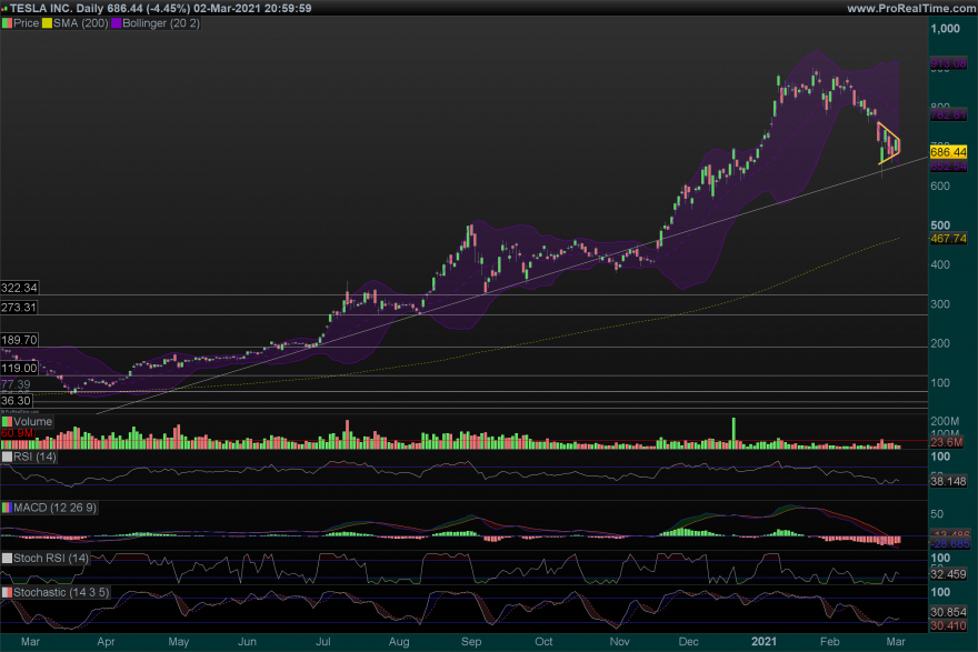 TSLA Daily.png