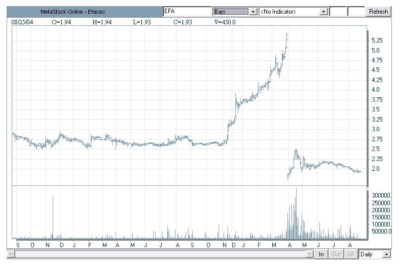 efacec_big picture.JPG