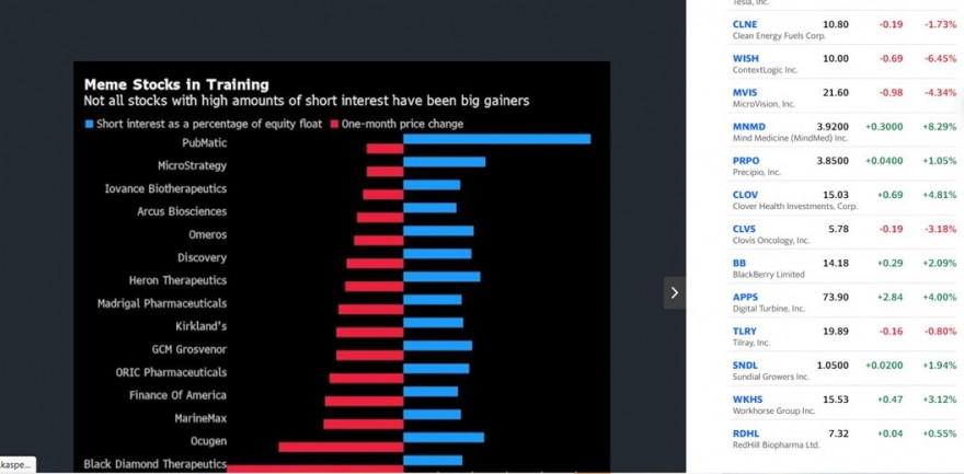 Poucas vezes as ações com maior short interest correspondem aos maiores short squeezes porque o driver é a adopção pelos milhões de degenerados WSB.jpg