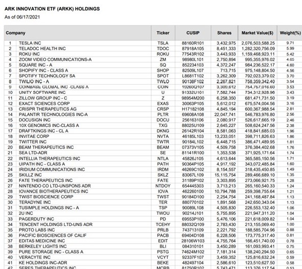 ARKK bellwether das apostas LP do WallStreetBets      Tesla, Square, Shopify, Coinbase, Palantir, onde a inovação é omnipresente.jpg