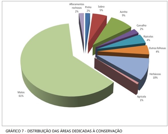 10% da àrea patrimonial Altri florestal é para Conservação e reprodução de espécies autóctones como carvalhos, azinheiros, sobreiros, pinheiros, etc.jpg