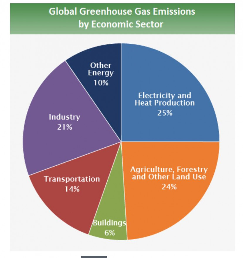 global CO2 dist.JPG