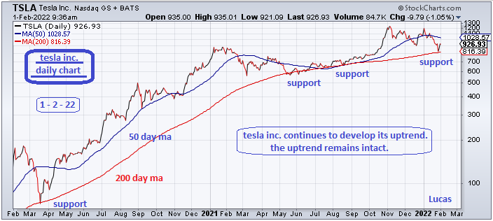 tsla 1  1-2-22.PNG