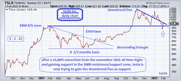 tsla 2 1-2-22.PNG