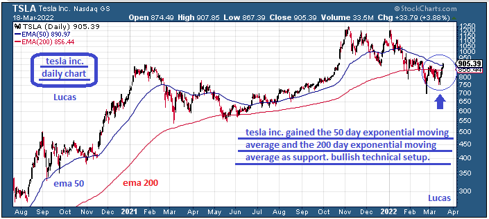 tsla  1  18-3-22.PNG