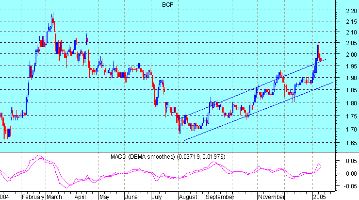BCP122005.gif