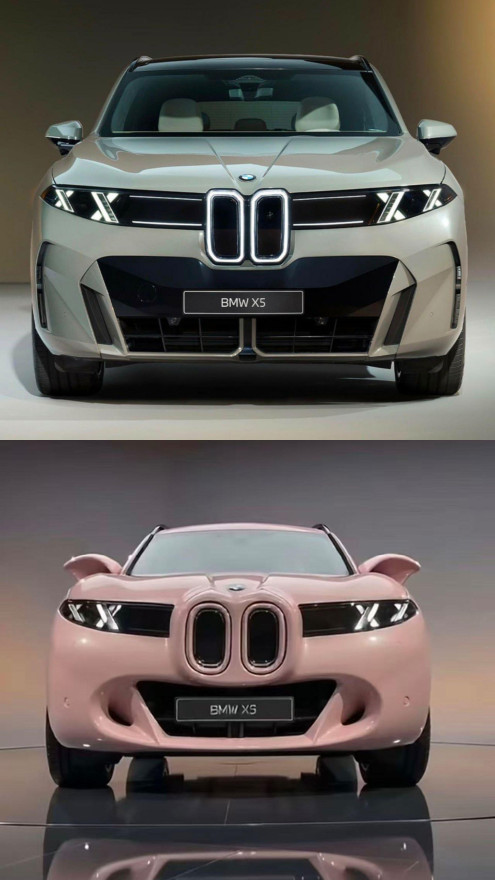 BMW_x5_pig.jpeg