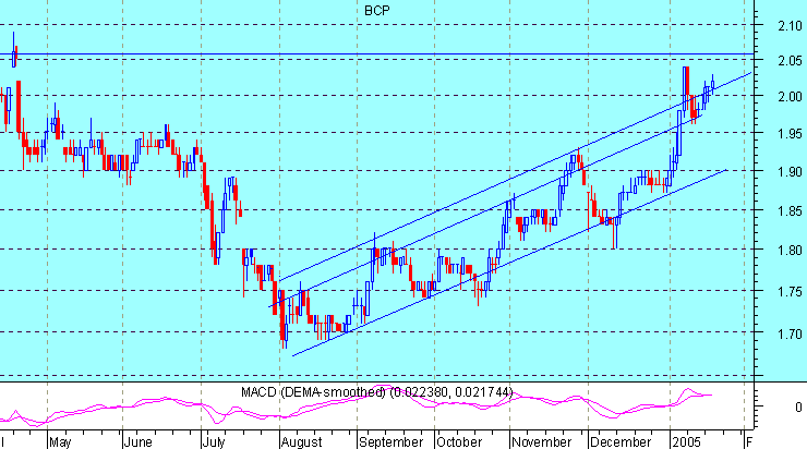 BCP 19012005.gif