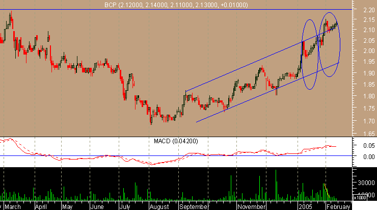 BCP11022005.gif