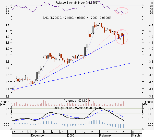 snc22fev2005.PNG