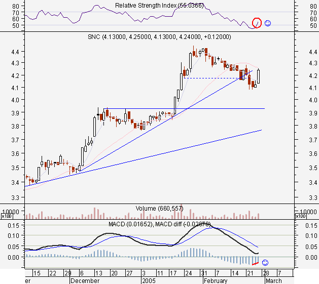 snc25fev2005.PNG