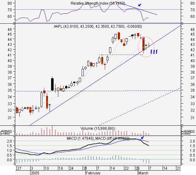 aapl07mar2005.PNG