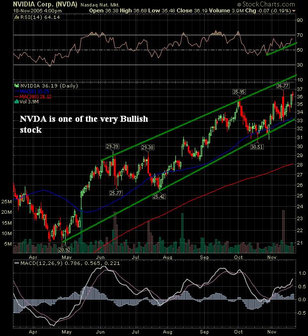 NVDA.JPG