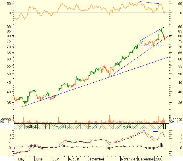 aapl23Jan2006.PNG