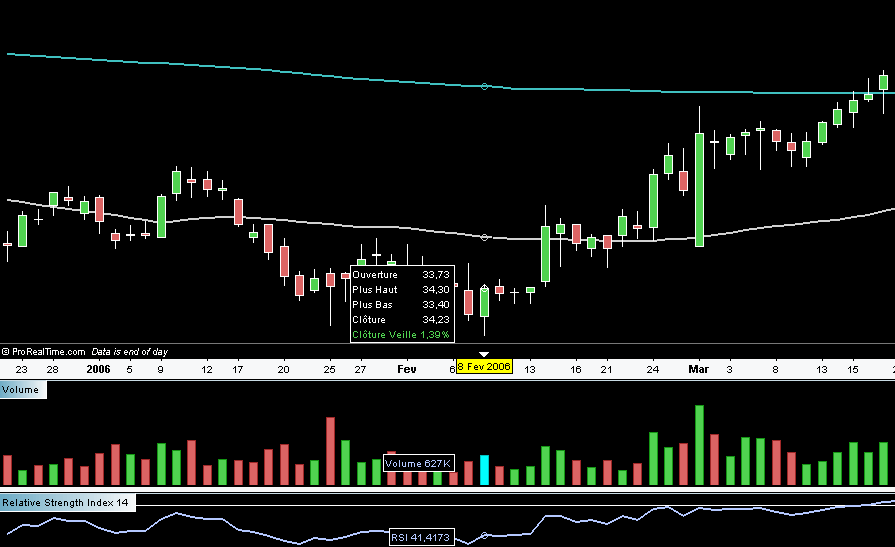 22032006-HETERO-ACTIVO LIZ.PNG