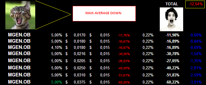 20060714-IMPACTO DA MGEN na carteira.PNG