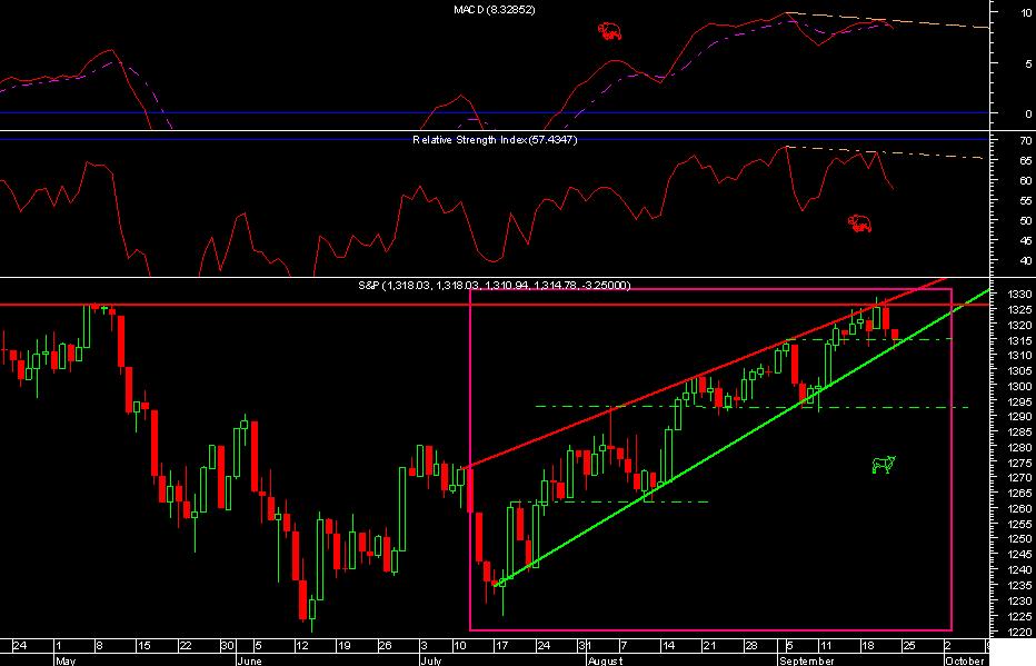 acompanhamento Tubarões3.JPG