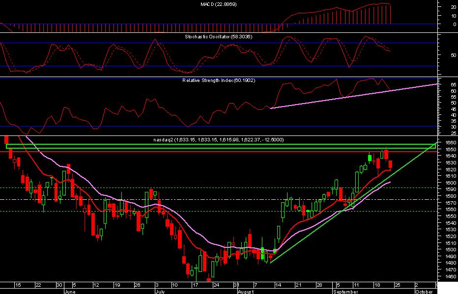 acompanhamento Tubarões2.JPG