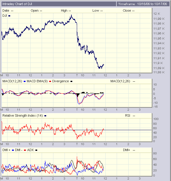 DJI-2dias, ao min.gif
