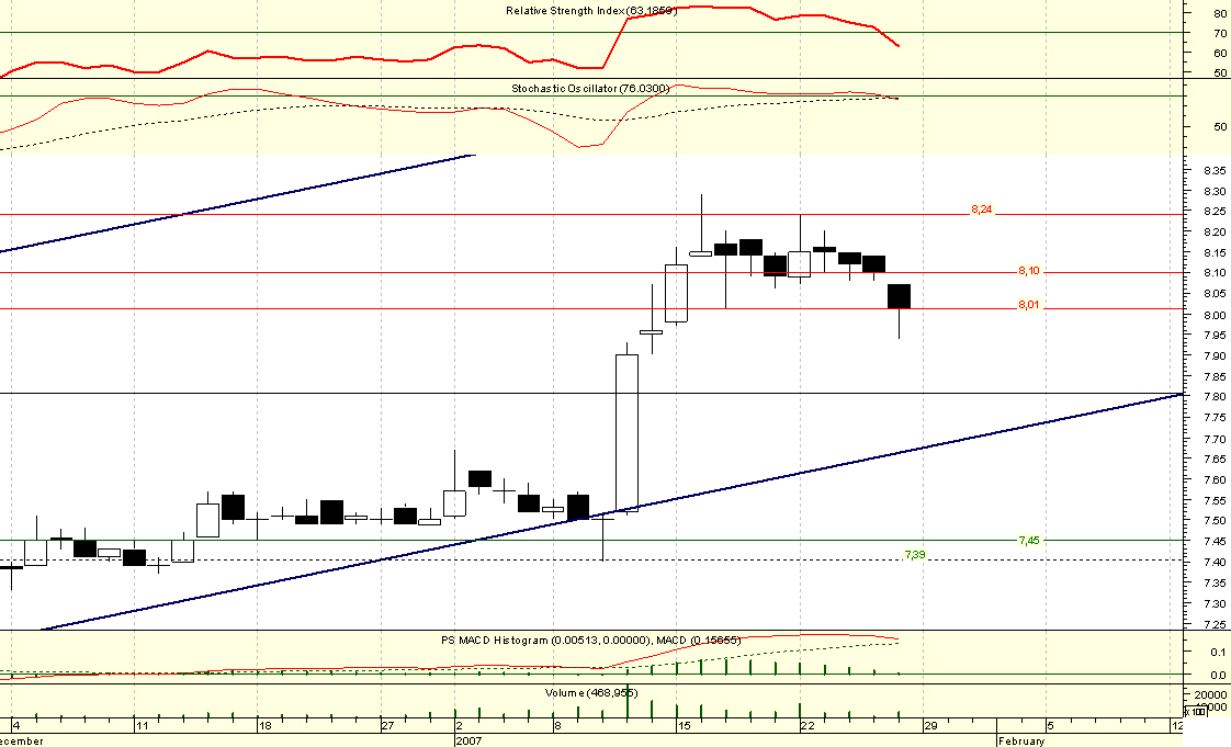 Sonae_Ind4 - 20070126.jpg