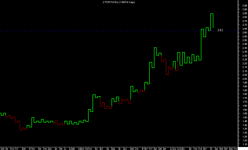 PORTUCEL.GIF