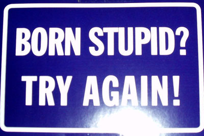 stupid.jpg