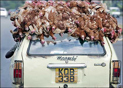 Roof top para scpnuno.jpg
