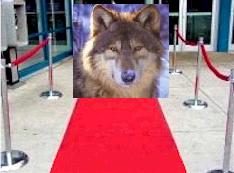 tap vermelho com mech.jpg