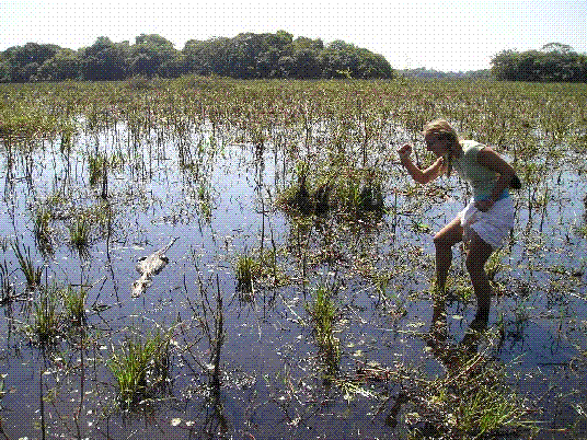 Crocodilo da OTA 1.GIF