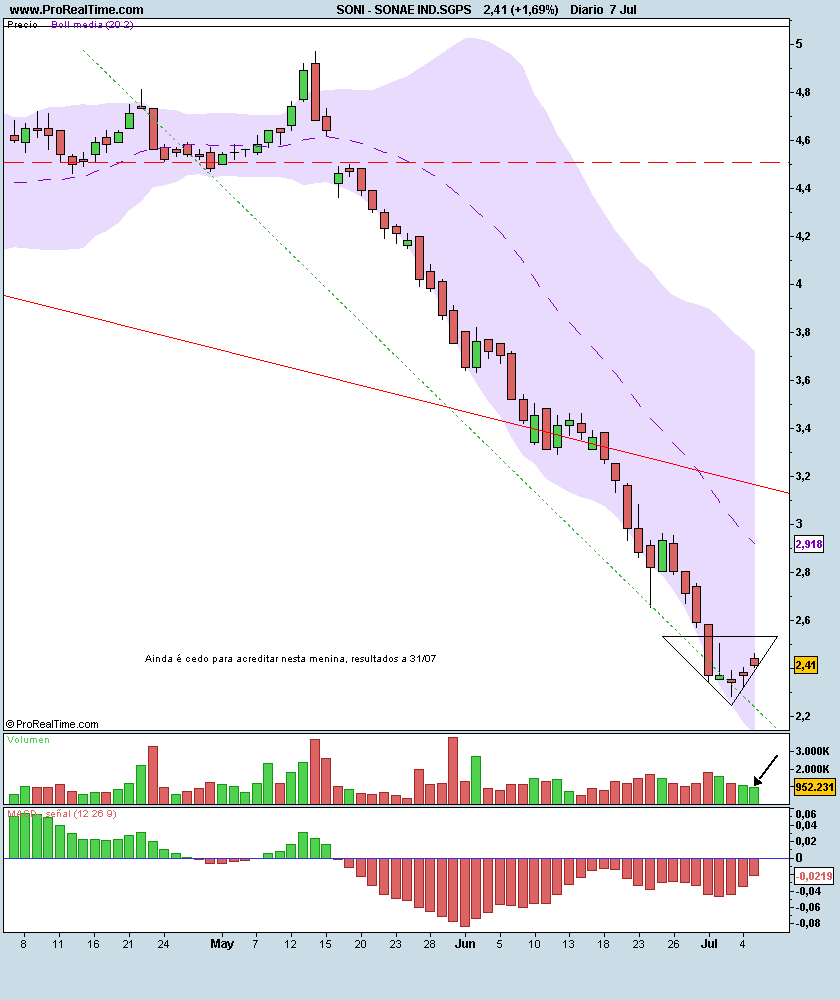 SONAE IND.SGPS.png